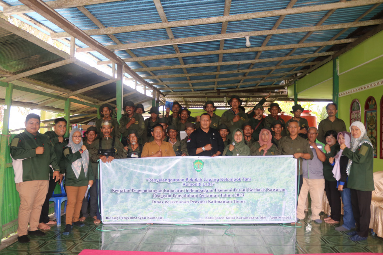 Disbun Gelar Sekolah Lapang  Bagi Petani Lada