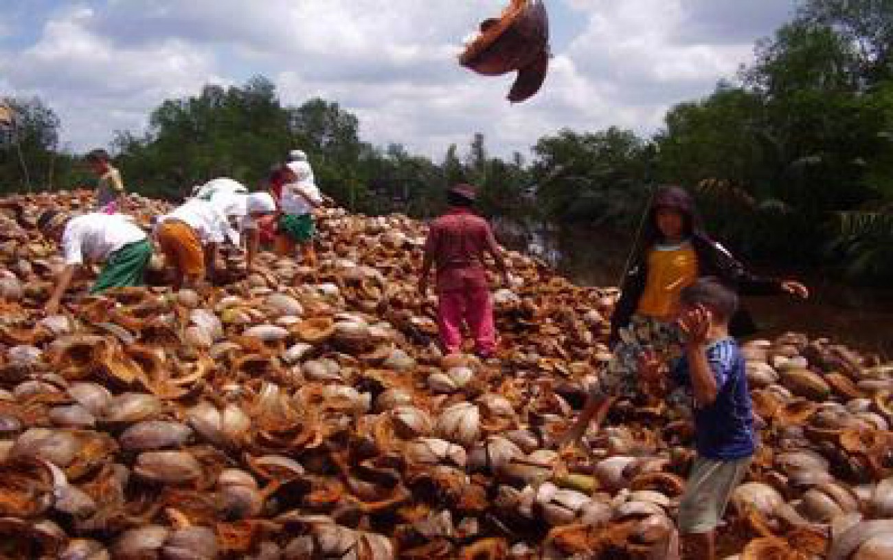 Kemenperin Kembangkan Industri Sabut Kelapa