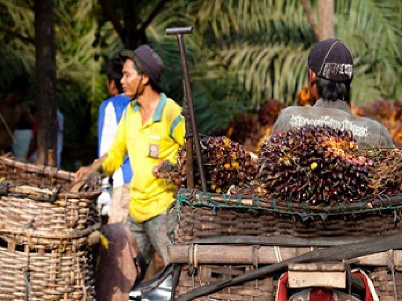 NTP Kaltim Masuk Delapan Terendah Nasional