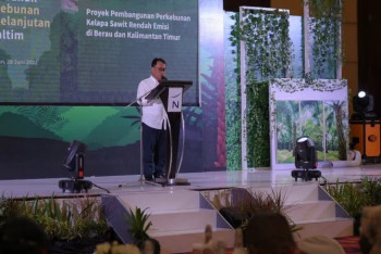 Perkebunan Kaltim Sumbang Rp16,95 Triliun Terhadap PDRB Kaltim