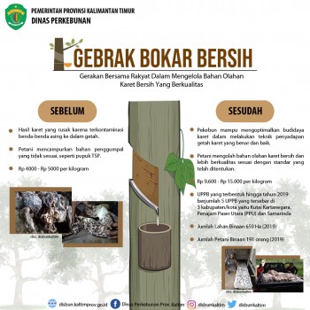 GEBRAK BOKAR BERSIH (Gerakan Bersama Rakyat Dalam Mengelola Bahan Olahan Karet Bersih Yang Berkualitas)