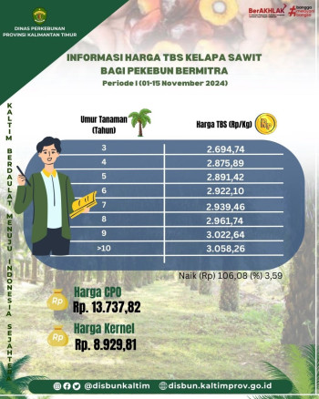 Informasi Harga TBS Kelapa Sawit bagi Pekebun Mitra Periode I Bulan November 2024