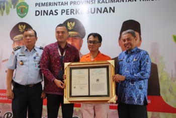 Kaltim Resmi Mendapat Sertifikat Indikasi Geografis Lada Putih Malonan