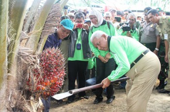 Kemitraan Sawit Pacu Pertumbuhan Koperasi