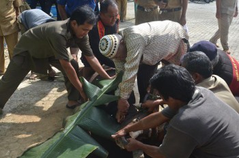 Sambut Idul Adha 1434 H, Disbun Kurbankan 6 Sapi